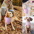 Happy Birthday Mommy Mom Dog Triangle Dog Bandana Scarf Birthday Party Accessorie Gifts for Dog Mom Lovers...