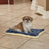 MidWest Homes for Pets Reversible Paw Print Pet Bed in Blue / Cream, Dog Bed Measures 23.5L x 17W x 2.8H for Small Dogs, Machine Wash...