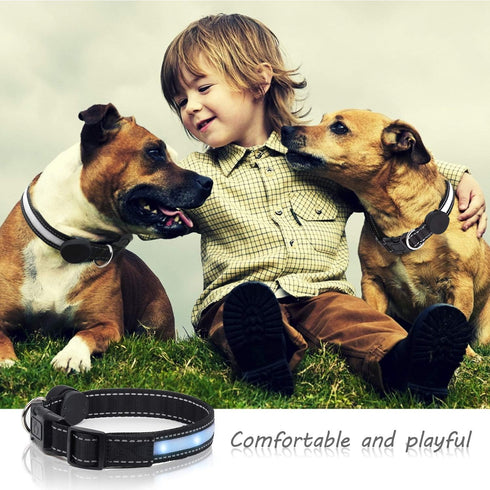 Light Up Dog Collars,Safety LED Dog Collars USB Rechargeable 7 Changing Colors Glow in The Dark Dog Walking Light,Neon Adjustable Safety Buckle Li...