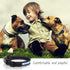 Light Up Dog Collars,Safety LED Dog Collars USB Rechargeable 7 Changing Colors Glow in The Dark Dog Walking Light,Neon Adjustable Safety Buckle Li...