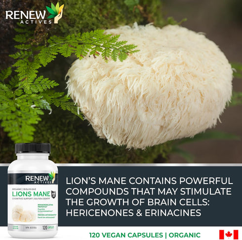 Renew Actives Organic Lions Mane Mushroom Supplement - 40% Polysaccharides, Immune Wellness & Rich in Antioxidant - 120 Capsules...