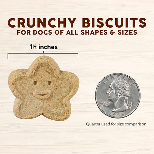 Cloud Star Corp, Wag More Bark Less Grain Free Oven Baked Pumpkin Dog Biscuits , 14 Ounce (Pack of 1)...