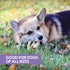 Collagen Chews for Dogs Pretzels (3 Pack, Duck Flavor) - Highly Digestable and Long Lasting Dog Chew or Treat for All Dog Breeds...