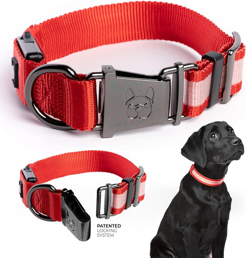 Silver Paw Light Up Dog Collars, LED USB Rechargeable Dog Collar, Waterproof & Durable (Red,S)...