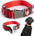 Silver Paw Light Up Dog Collars, LED USB Rechargeable Dog Collar, Waterproof & Durable (Red,S)...