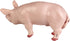 Safari Ltd. Boar Figurine - Realistic, Lifelike 4.25" Model Figure - Fun and Educational Toy for Boys, Girls & Kids Ages 3+...