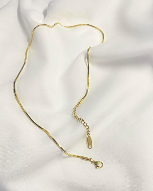 Choker Necklaces for Woman,18K Gold Plated Gold Choker Necklaces for Woman, Titanium Steel Snake Necklace, Minimalist Jewelry for Women, gifts for...