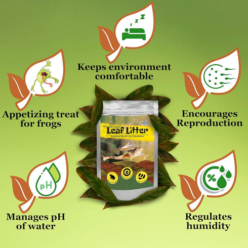 JOR Mahogany Leaves, Vivarium Leaf Litter for Frogs, Mixing with Substrate, Maintains Humidity and pH Levels, Creates Natural Bioactive Habitat, A...