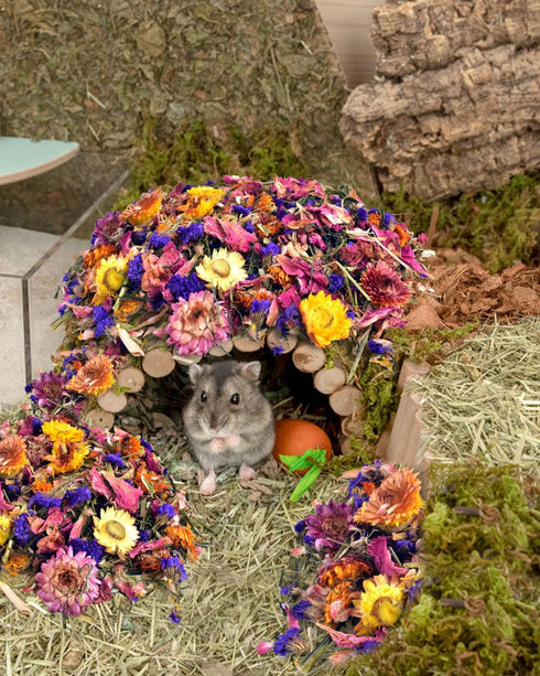 Bissap Natural Flower & Herb Hamster Bedding 300g/10.5oz, Small Animal Flower Habitat Decor for Syrian Dwarf Hamster Gerbil Chinchilla Mice Degu a...