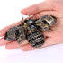 EVER FAITH Rhinestone Crystal Honeybee Insect Brooch for Women...