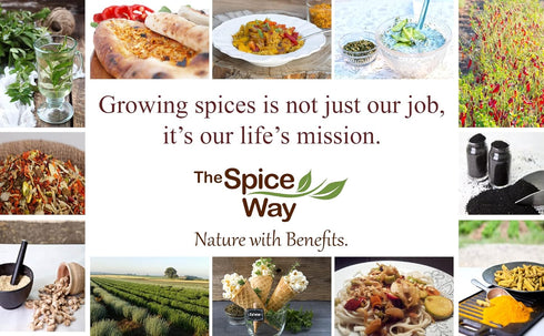 The Spice Way Allspice - Whole (8 oz) a multipurpose berry for curries, sauces, soups and even pastries...