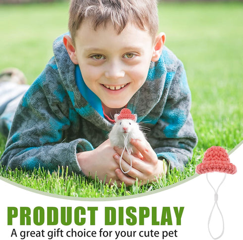 8 Pieces Mini Cute Pet Hat with Adjustable Elastic Chin Strap, Snake Hamster Lizard Guinea Pig Knitted Hat Small Reptile Animal Decoration Supplie...