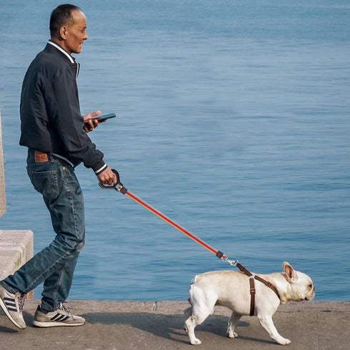 YAODHAOD 4FT Dog Leash, Training Dog Leash for Small Medium Large Dogs, Soft Rubber Handle,Cotton Rope Heavy Duty Dog Leash for Walking and Contro...