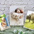 25 Pack Acrylic Easel Stand 3 Inch Clear Plastic Easels Plate Holders Mini Easels Display Stand for Photos, Sports Cards, Baseball Card, Coins, Sm...