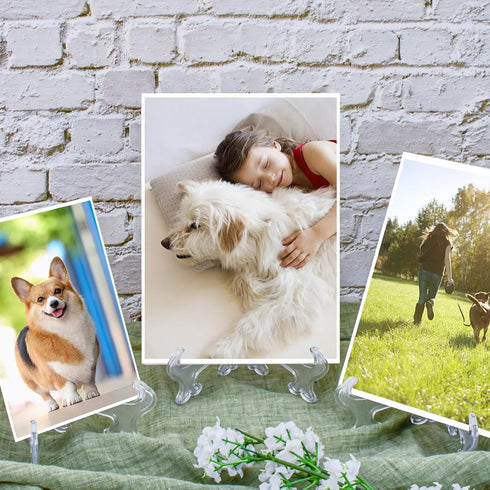 2 Pack Acrylic Easel Stand 9.8 Inch Clear Plastic Easels Plate Holders Extra Large Easels Display Stand for Photos Picture at Weddings, Birthdays,...