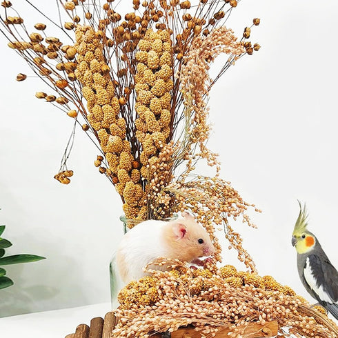 Natural Hamster Bedding Edible Flowers Herbs Sprays for Edible Grain Habitat Enclosure Decor Hamster Chews for Dwarf Syrian Gerbils Mice Mouse Rat...