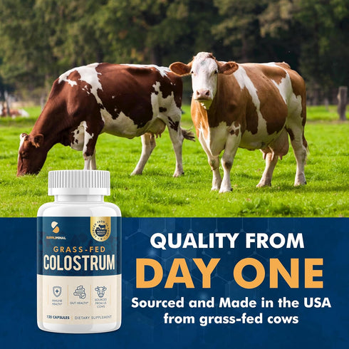Colostrum Supplement 2 Month Supply, Grass Fed Bovine Colostrum, Colostrum Powder Capsules...