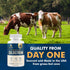 Colostrum Supplement 2 Month Supply, Grass Fed Bovine Colostrum, Colostrum Powder Capsules...
