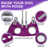 Dog Grooming Hammock - Pet Grooming Hammock with Nail Clippers for Dogs, Nail File, and Dog Bath Brush - Dog Hammock for Grooming with Strong Cent...