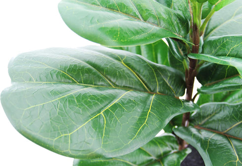 Artificial Fiddle Leaf Fig, Realistic Fake Plants with Pots for Home and Office Decoration...