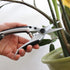 TABOR TOOLS K18A Pruning Shears with Straight Japanese Style Blades, Florist Scissors, Multi-Tasking Garden Snips for Arranging Flowers, Trimming ...