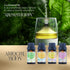 Natural Essential Oil Blend Set, 4 Pack, Essential Oil Blends for Massage, Suitable for Aromatherapy, Massage, Gifts, Hair Care (Jasmine&Rosemary&...