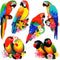 Parrot Magnets for Fridge Decorative Refrigerator Magnets Locker Magnets for Office Cabinets Whiteboards Classroom......