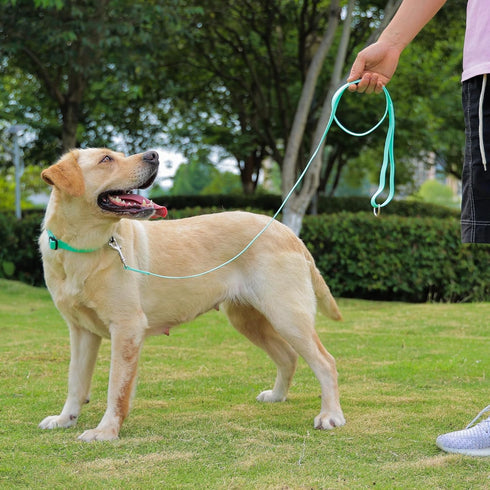 Waterproof Dog Leash, 5/6 FT Durable Odor-Proof Dog Leashes with Strong Metal Hooks Fits Small Medium or Large Dogs (Mint Green, 5FT - 3/4 inch Wi...