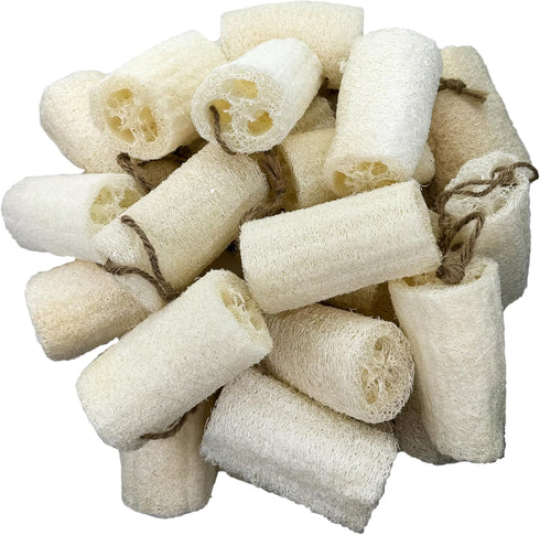 4" Plant Sponge 100% Natural Loofah Dish Sponges, Natural Dishwashing Sponges for Kitchen, Kitchen Scrubber Loofahs - 24 Pack...