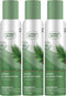 Citrus Magic Holiday Odor Eliminating Air Freshener Spray, Winter Wonder Green, 3-Ounce, Pack of 3...
