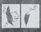 GSS Designs Feathers Wall Art Stencil Pack of 2 - Reusable Stencils(12x16inch) - Feather Birds Painting Template for Floor, Wall, Tile, Fabric, Wo...