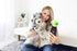 Cell Phone Dog Universal Selfie Stick, Dog Training, Tennis Ball for Dogs Photos, Pet Selfie Tool Get Your Pooches Attention (AS SEEN ON Shark Tan...