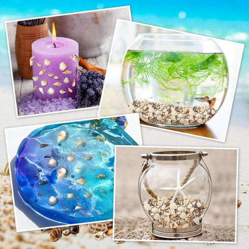 Ira Pollitt Tiny Natural Mixed Ocean Sea Shells Tiny Miniature Beach Critter Seashells Variety Beach Decor Crafts for Arts & Crafts Projects, Home...