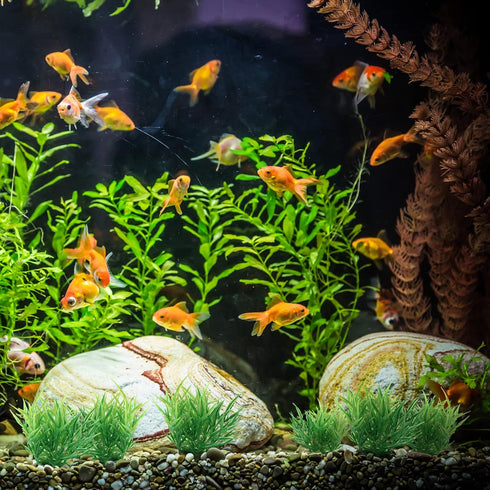 Green Aquarium Plant Ornaments, Artificial Water Plants, Lifelike Plastic Fish Tank Foreground Grass, Water Tank Decorations (10Pcs)...
