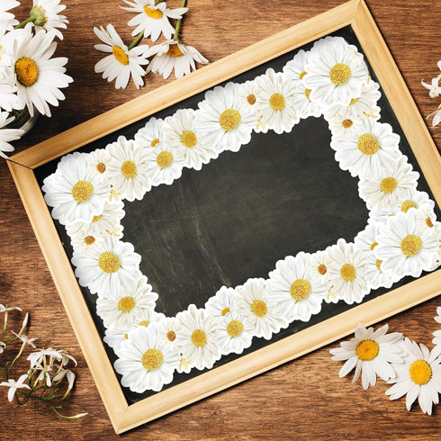 69Ft Spring Daisy Bulletin Board Border White Floral Flower Self-Adhesive Border Trim for School Classroom Chalkboard Office Party Decoration...