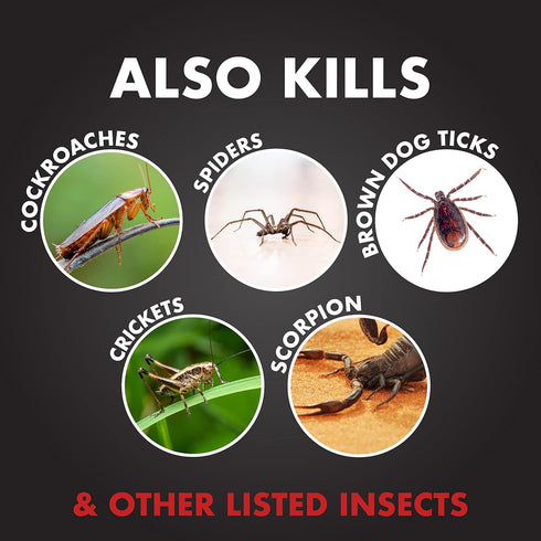 15 Oz Ant Shield Insect Killer Aerosol...