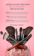 Cosme 9 FLAWLESS FACE MINI Makeup Brush Set: Foundation, Eyeshadow, Blush, Contour, Powder Make Up Brush Set & Case. Synthetic & Natural Hair Make...