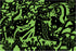 Mudpuppy Dragons – 100 Piece Glow in The Dark Puzzle with Bold Scene of Fire Breathing Dragons and Hidden Puzzle Details in The Dark for Children ...