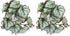 2Pcs Artificial Reptile Plant, Plastic Simulation Vine Lifelike Aquarium Fish Leaves Decoration with Suction Cup, Pets Fake Green Plastic Ornament...