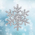 EVER FAITH Women's Austrian Crystal Bridal Elegant Stunning Snowflake Flower Brooch...