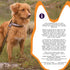 Rawhide Dental Chews, Poultry Flavored Treats for Med Dogs 11lbs-25lbs....