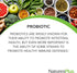Natures Plus Immune Probiotic - 30 Capsules - 10 Billion CFU - Respiratory & Gut Health, Immune Support - with Prebiotic Fiber - Non-GMO, Vegan, G...