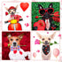 24 Pcs Valentine's Day Dog Bow Set includes 10 Pcs 4th of July Dog Bow Ties and 10 Pcs Dog Neckties, 4 Dog Bandana with Adjustable Pet Grooming Ac...