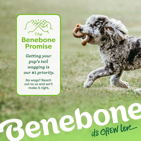 Benebone Tripe Bone Durable Dog Chew Toy for Aggressive Chewers, Real Tripe, Made in USA, Medium...