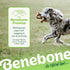 Benebone Tripe Bone Durable Dog Chew Toy for Aggressive Chewers, Real Tripe, Made in USA, Medium...