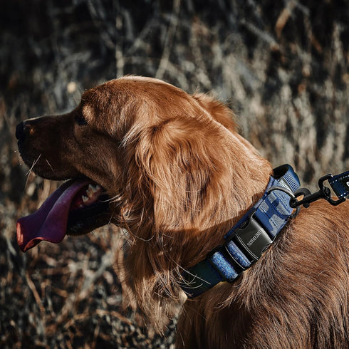 Tough Dog Collars, Tactical Dog Collar with Handle, Milltary Adjustable Dog Collar with Heavy Duty Metal Buckle for Training (Medium,Blue)...