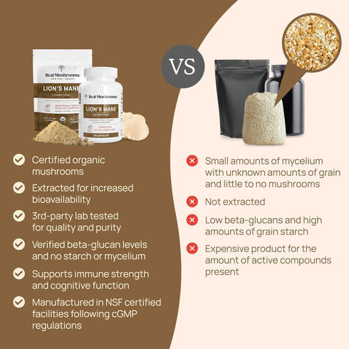 Lion’s Mane Powder - Organic Lions Mane Mushroom Extract with Immunomodulating Properties & Antioxidants - Vegan Mushroom Supplement, 60 Servings...