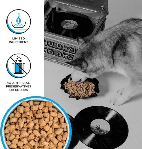 BIXBI Rawbble Freeze Dried Dog Food, Chicken & Salmon Recipe, 4.5 oz - 94% Meat and Organs, No Fillers - Pantry-Friendly Raw Dog Food for Meal, Tr...