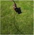 MayPaw 30FT Long Rope Training Dog Leash- Heavy Duty Nylon Recall Pet Tracking Line- for Small Medium Outside Training Play Camping or Backyard...