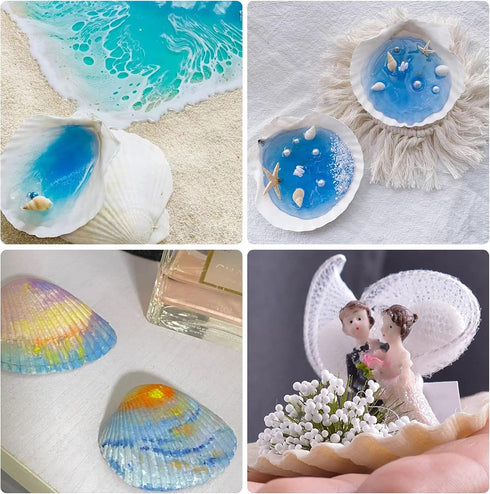 25pcs Scallop Shells for Crafts, 2-3 Inches White Large Natural Seashells for DIY Home Decor, Baking Shells for Serving Food...